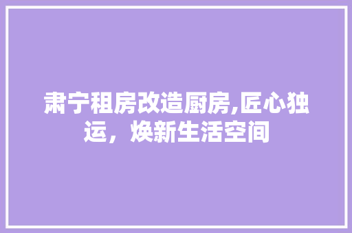 肃宁租房改造厨房,匠心独运，焕新生活空间