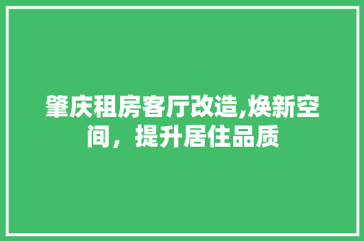 肇庆租房客厅改造,焕新空间，提升居住品质