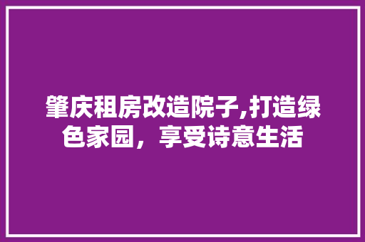 肇庆租房改造院子,打造绿色家园，享受诗意生活 厨房维修