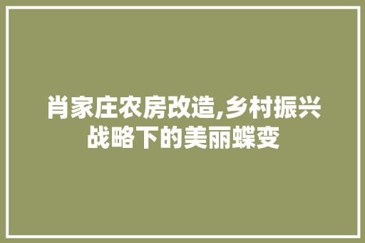 肖家庄农房改造,乡村振兴战略下的美丽蝶变