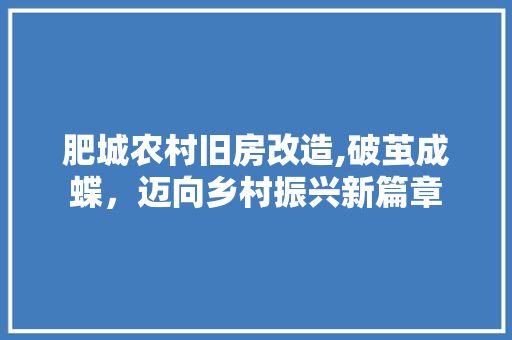 肥城农村旧房改造,破茧成蝶，迈向乡村振兴新篇章