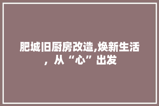 肥城旧厨房改造,焕新生活，从“心”出发