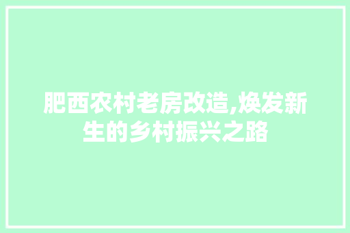 肥西农村老房改造,焕发新生的乡村振兴之路
