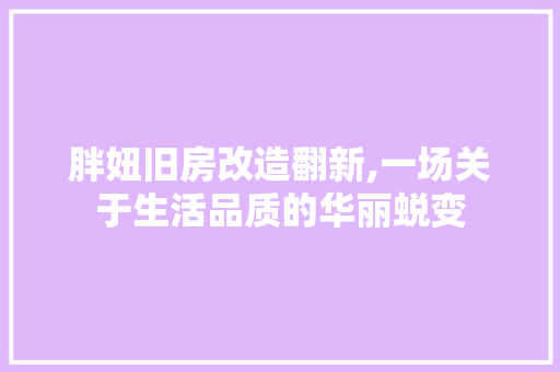 胖妞旧房改造翻新,一场关于生活品质的华丽蜕变