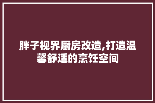 胖子视界厨房改造,打造温馨舒适的烹饪空间