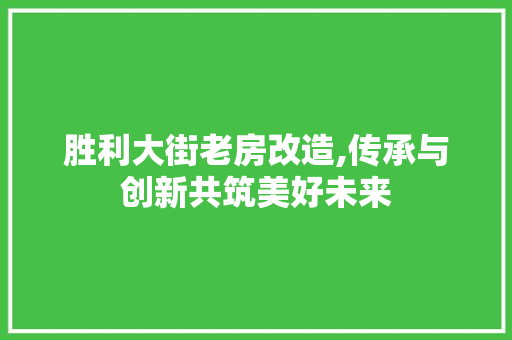 胜利大街老房改造,传承与创新共筑美好未来