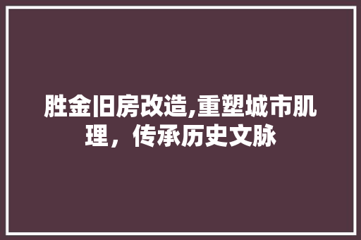 胜金旧房改造,重塑城市肌理，传承历史文脉