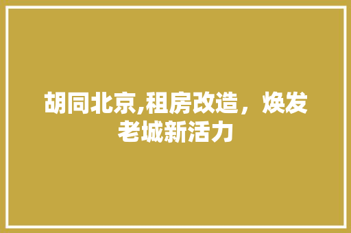 胡同北京,租房改造，焕发老城新活力