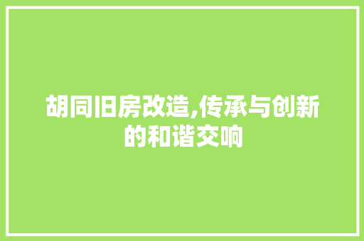 胡同旧房改造,传承与创新的和谐交响