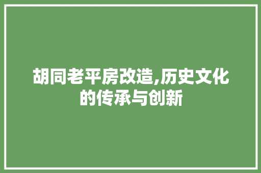 胡同老平房改造,历史文化的传承与创新