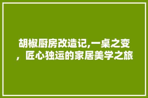 胡椒厨房改造记,一桌之变，匠心独运的家居美学之旅