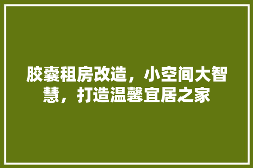胶囊租房改造，小空间大智慧，打造温馨宜居之家