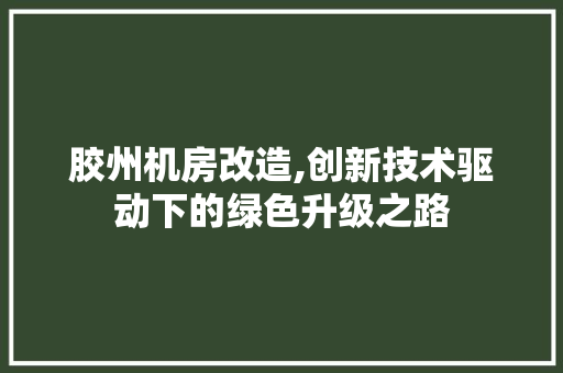 胶州机房改造,创新技术驱动下的绿色升级之路