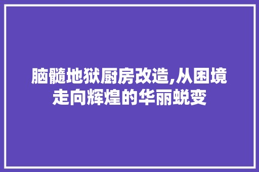 脑髓地狱厨房改造,从困境走向辉煌的华丽蜕变