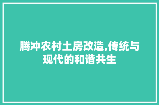 腾冲农村土房改造,传统与现代的和谐共生 家电维修