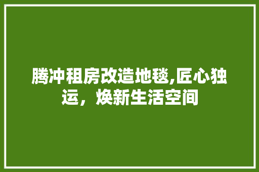 腾冲租房改造地毯,匠心独运，焕新生活空间 厨房维修