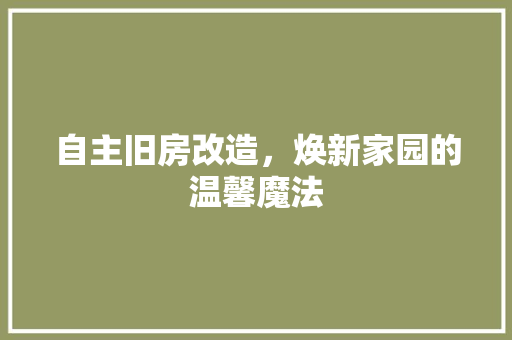 自主旧房改造，焕新家园的温馨魔法