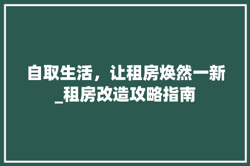 自取生活，让租房焕然一新_租房改造攻略指南