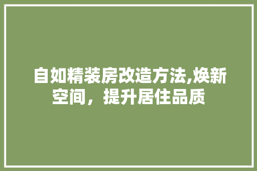 自如精装房改造方法,焕新空间，提升居住品质