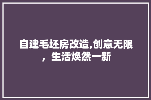 自建毛坯房改造,创意无限，生活焕然一新