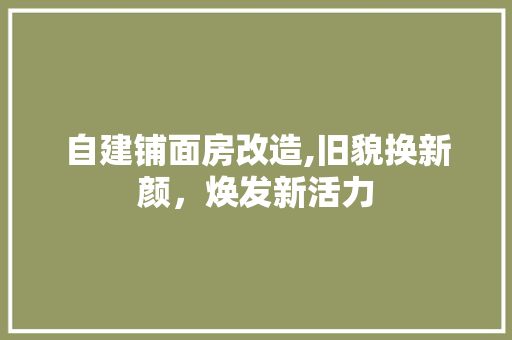 自建铺面房改造,旧貌换新颜，焕发新活力