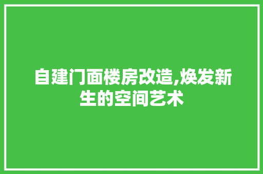自建门面楼房改造,焕发新生的空间艺术