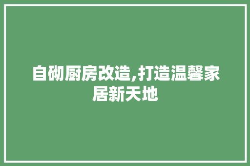 自砌厨房改造,打造温馨家居新天地