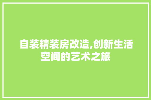 自装精装房改造,创新生活空间的艺术之旅