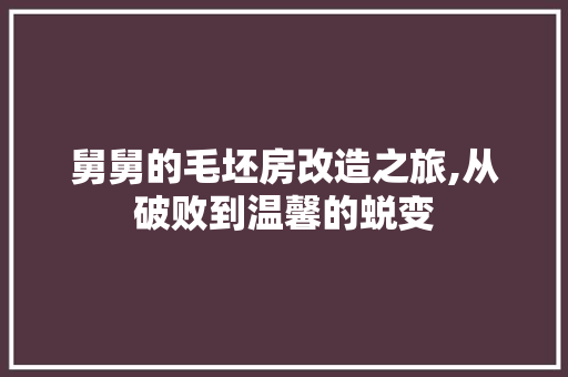舅舅的毛坯房改造之旅,从破败到温馨的蜕变