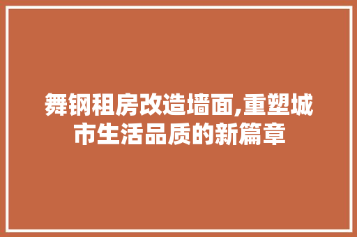 舞钢租房改造墙面,重塑城市生活品质的新篇章