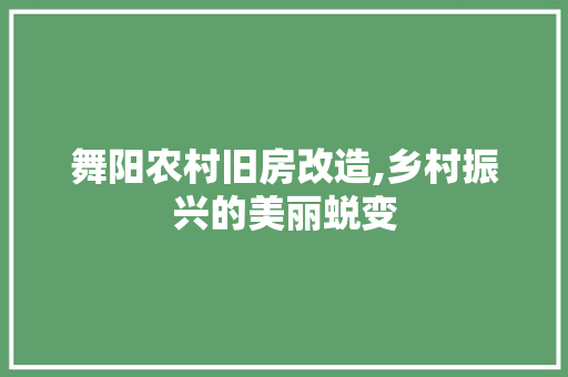 舞阳农村旧房改造,乡村振兴的美丽蜕变 墙体维修