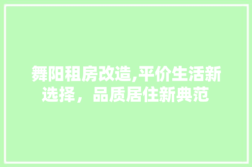 舞阳租房改造,平价生活新选择，品质居住新典范 墙体维修