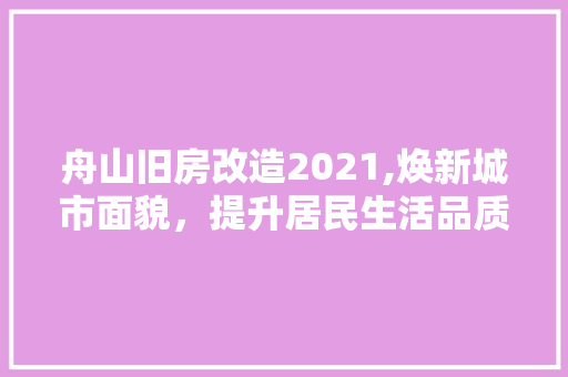 舟山旧房改造2021,焕新城市面貌，提升居民生活品质 墙体维修