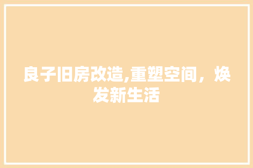 良子旧房改造,重塑空间，焕发新生活 居家维修