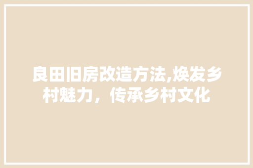良田旧房改造方法,焕发乡村魅力，传承乡村文化