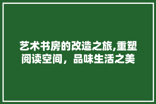 艺术书房的改造之旅,重塑阅读空间，品味生活之美