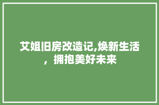 艾姐旧房改造记,焕新生活，拥抱美好未来