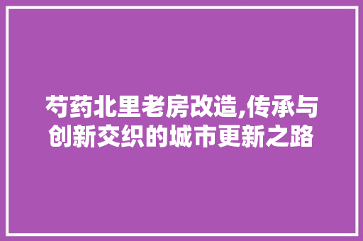 芍药北里老房改造,传承与创新交织的城市更新之路 墙体维修