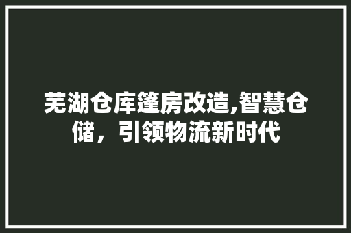 芜湖仓库篷房改造,智慧仓储，引领物流新时代