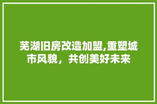 芜湖旧房改造加盟,重塑城市风貌，共创美好未来