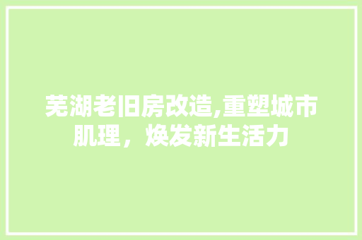 芜湖老旧房改造,重塑城市肌理，焕发新生活力