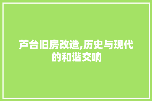 芦台旧房改造,历史与现代的和谐交响
