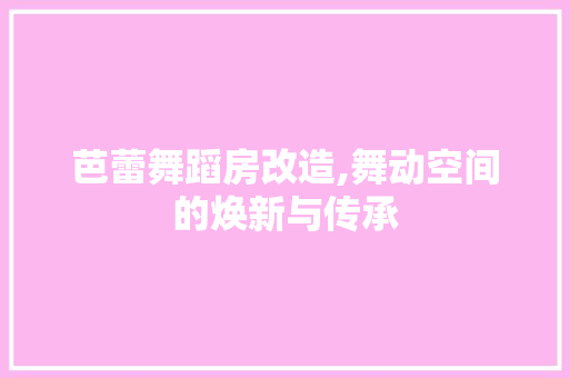 芭蕾舞蹈房改造,舞动空间的焕新与传承