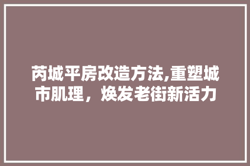 芮城平房改造方法,重塑城市肌理，焕发老街新活力