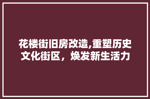 花楼街旧房改造,重塑历史文化街区，焕发新生活力