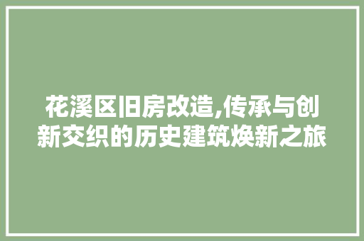 花溪区旧房改造,传承与创新交织的历史建筑焕新之旅 厨房维修