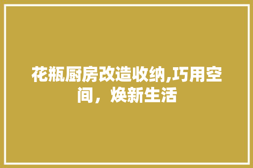 花瓶厨房改造收纳,巧用空间，焕新生活