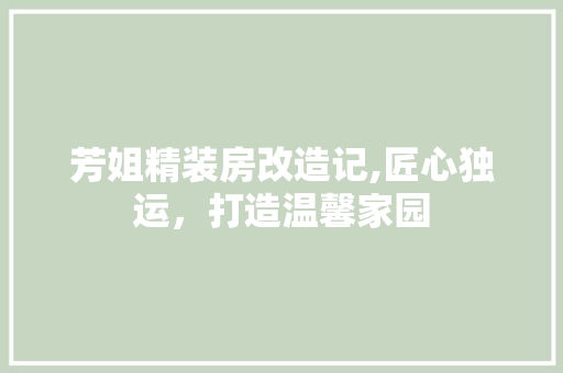 芳姐精装房改造记,匠心独运，打造温馨家园