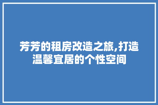 芳芳的租房改造之旅,打造温馨宜居的个性空间