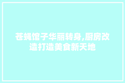 苍蝇馆子华丽转身,厨房改造打造美食新天地